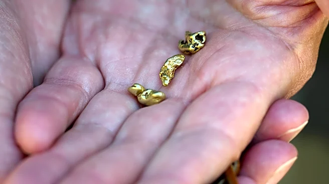 California Gold Rush drove mass migration, boom and upheaval