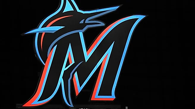 Viral dog at Miami Marlins game found. What's next for rescue pup Jonah