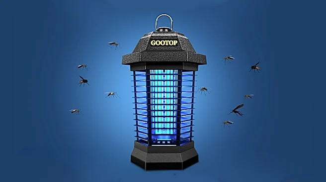 60,000 people bought this bug zapper last month—now it's under $35