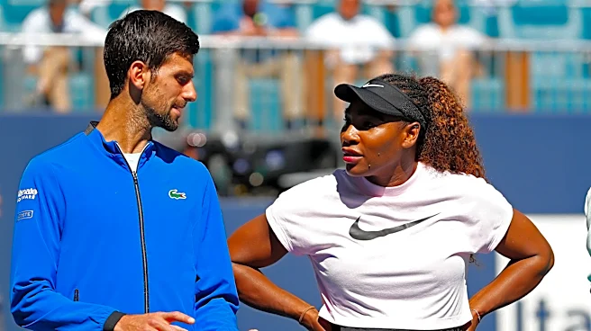 Novak Djokovic defends Serena Williams after Wimbledon loss: 'Just enjoy greatness'
