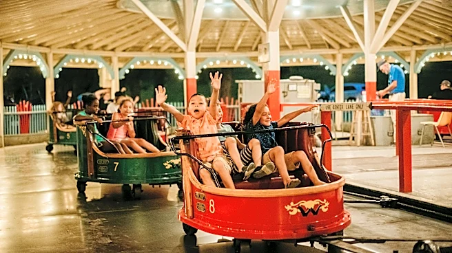 After 100 years, America's top amusement park still doesn't charge admission