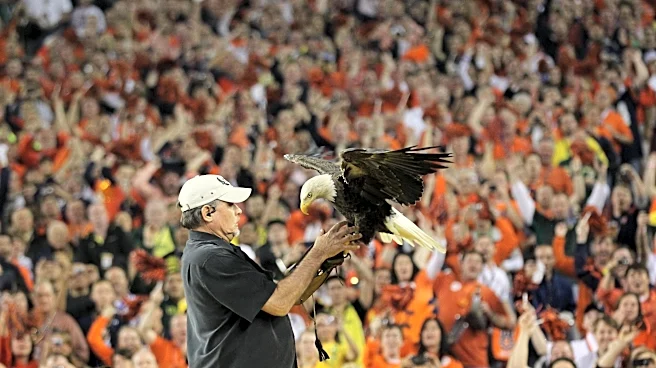 Flying from Atlanta to Philly on July 3? You'll be joined by an eagle