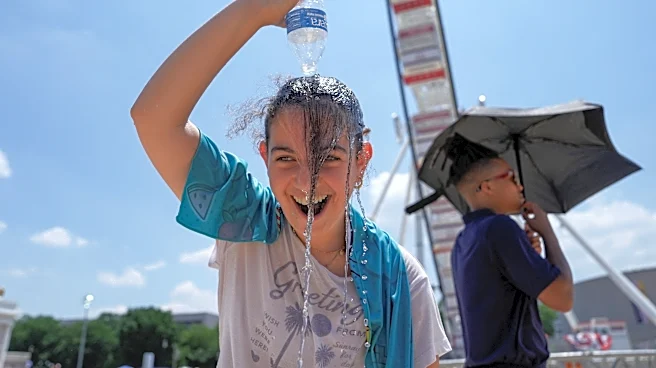 Americans brave extreme heat at 'once in a lifetime' 250th celebrations