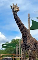 Pittsburgh Zoo marks 128 years and builds toward its future