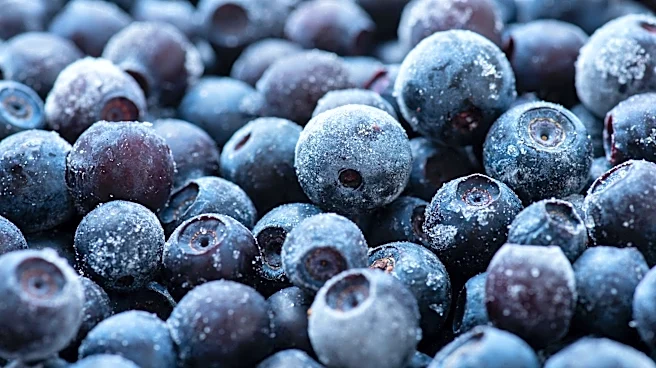 Blueberries sold at Publix recalled. See the affected states