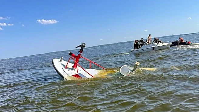 Whale sinks New Jersey firefighters' boat, sending crew overboard