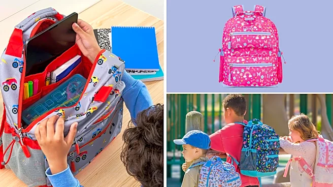 The one kids' backpack I recommend to every parent this year