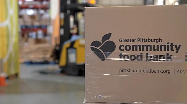 Summer surge: Pittsburgh food bank sees more kids needing meals