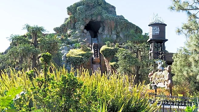 Disneyland visitor exits Tiana's Bayou Adventure mid-ride
