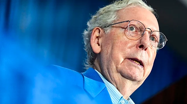 Why is everyone saying they talked to Mitch McConnell for 20 minutes?