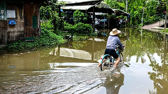 'Looksmaxxing' influencer Connor Murphy dies in Thailand drowning