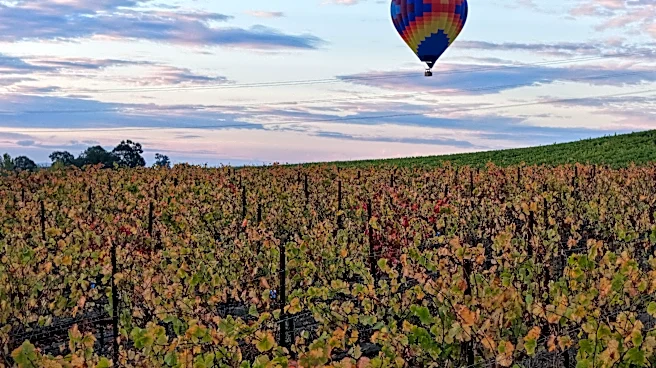 California leaders urge Québec to reopen trade as wineries face fallout