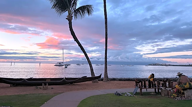 Hawaii had 2 historic disasters. Why tourists now play a pivotal role