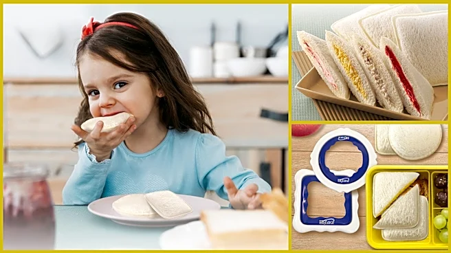This clever under-$10 tool is a game-changer for school lunches