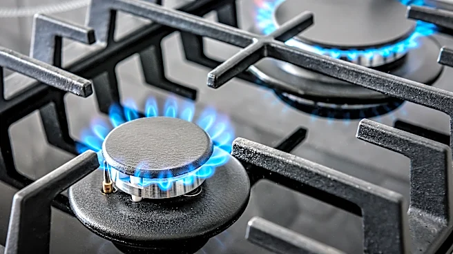Thousands of gas ranges sold at Best Buy recalled. See affected items