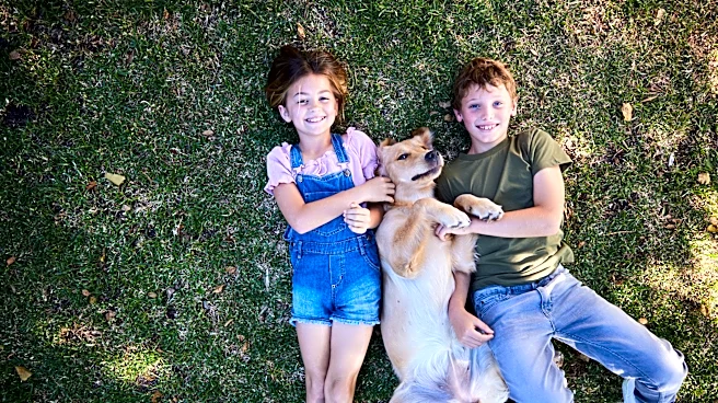 How to talk to your kids when a family pet dies