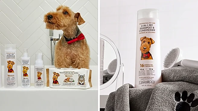 Why a Hollywood hairstylist swears by this $15 pet shampoo