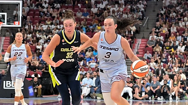 Toronto Tempo draw record WNBA regular-season crowd in Montreal