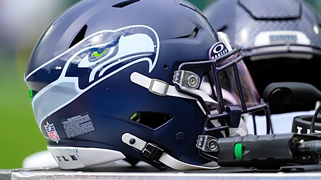 Venture seekers want to steer new NFL seas with Seahawks