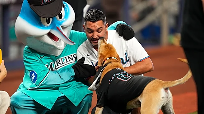 Marlins ticket take from viral dog's 'dream day' benefits Miami rescue