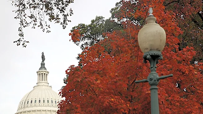 What is the Farmer's Almanac fall forecast for the Washington DC area?