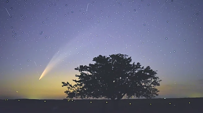 You can see this comet tonight. But you'll need a telescope or binoculars