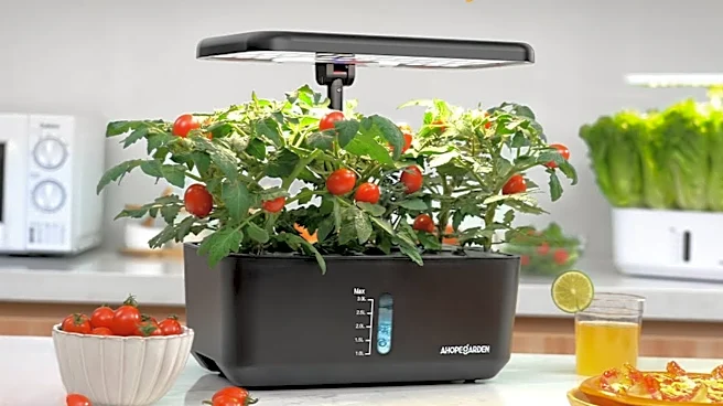 Avoid grocery produce recalls with this top-rated Amazon system
