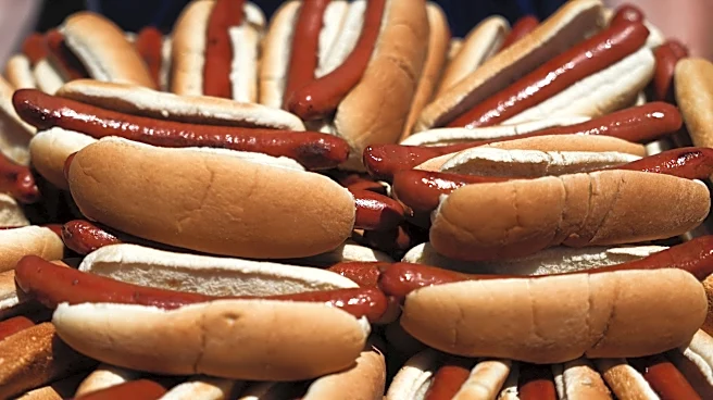 National Hot Dog Day is here. How you can score free hot dogs