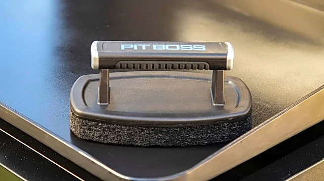 Why every BBQ boss needs this genius $6 griddle brush