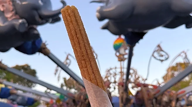 Disneyland just increased food prices. Here's how much, how to still save