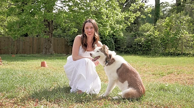 Dog heavily panting? It could be a health signal