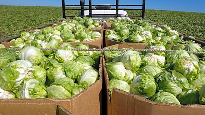 Taylor Farms removes iceberg lettuce sourced from Mexico amid diarrhea outbreak