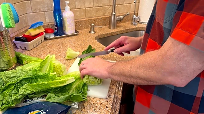 Before you eat that salad, here's how to properly wash lettuce