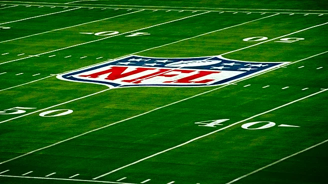 NFL players turn up pressure for grass fields following World Cup