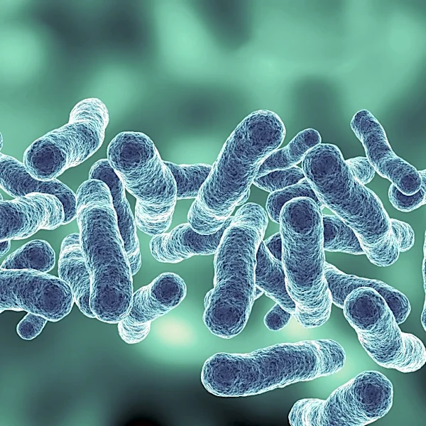 1 dead in NYC Legionnaires' disease outbreak and over 70 cases confirmed