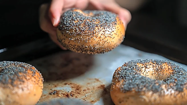 Are poppy seeds good for you? Consider the risks.