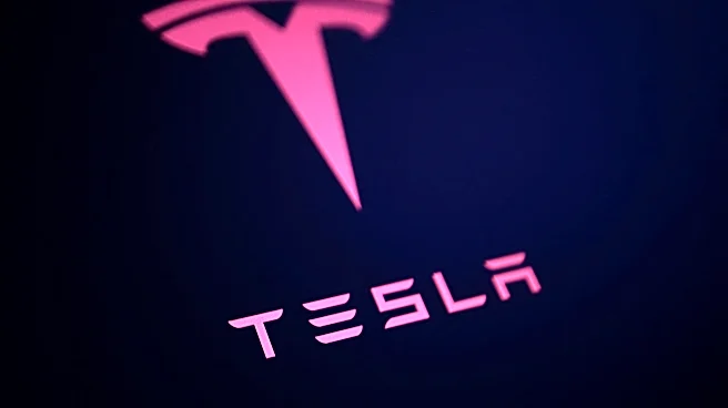 Tesla stock drops sharply amid glut of unsold EVs, crash report uptick