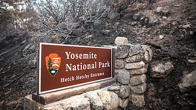 Gateway to Yosemite threatened as Dove Fire sparks evacuations