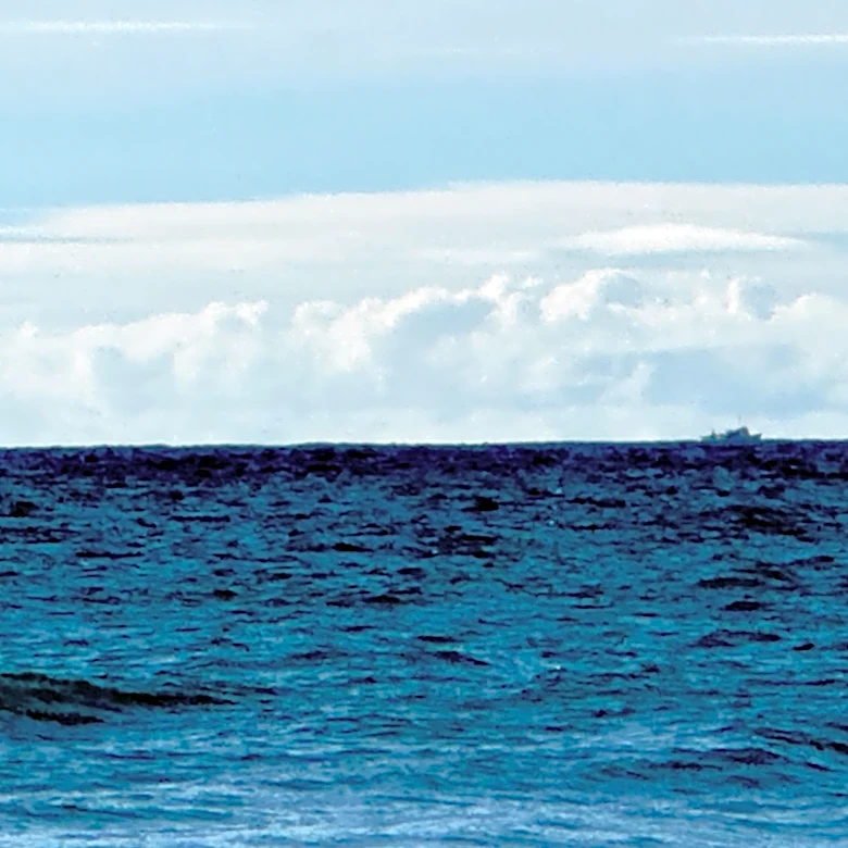Sailor voyaging to Hawaii survives after being stranded at sea. See how