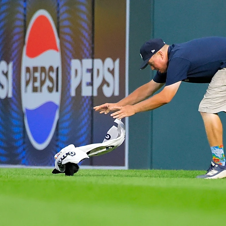 Squirrel runs on field during Tigers vs. Orioles game at Comerica Park