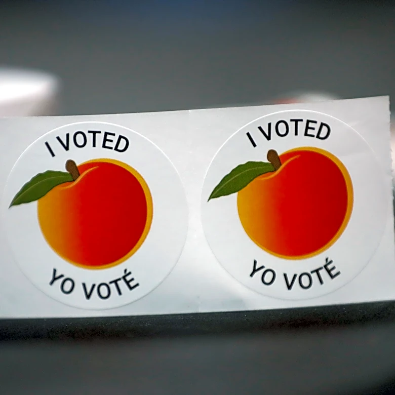 What is Georgia voting for today? Parts of Atlanta metro head to polls