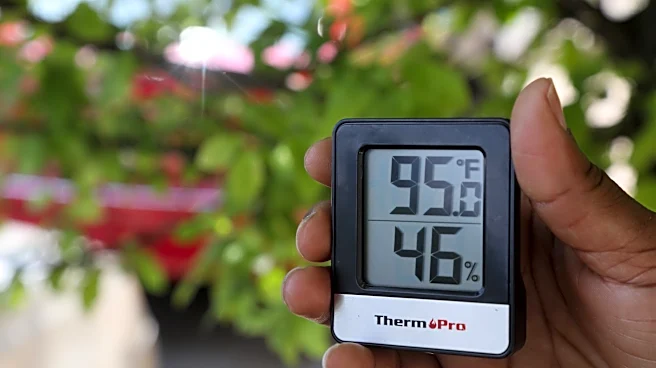 90-degree days mean no power shutoffs for these Californians