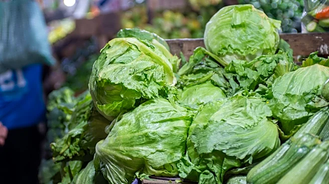 Explosive diarrhea parasite cases rise by thousands, now in 45 states