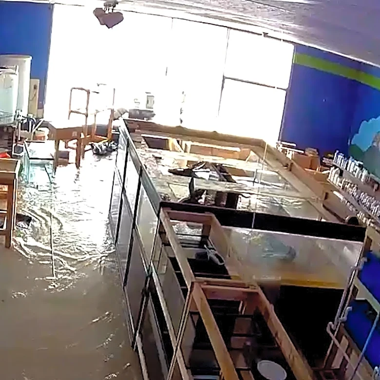 Massive 2,000-gallon fish tank explodes in Chicago suburb pet store