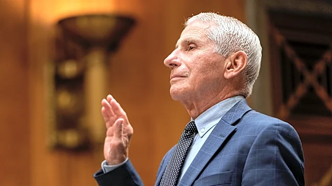 Fauci praised as 'hero' by public health experts after Senate hearing