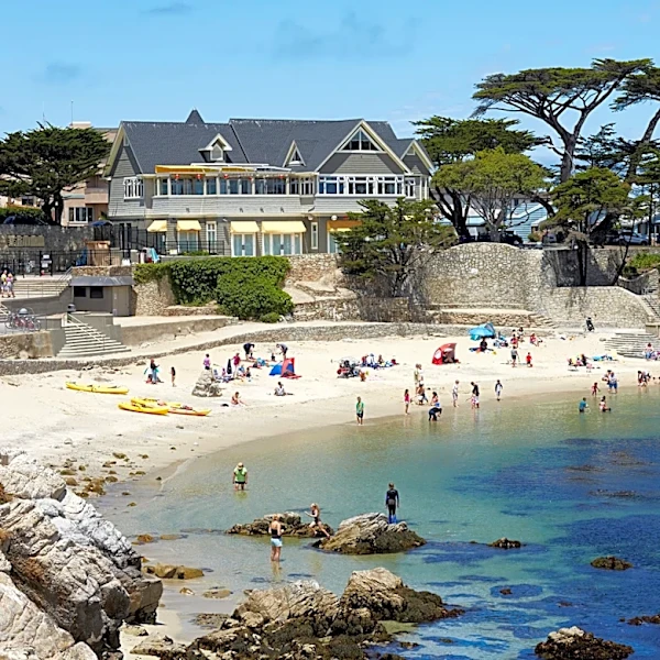 Autopsy gives insight into how California woman died in shark attack