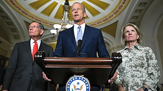 Is the post-Trump GOP already forming? | The Excerpt