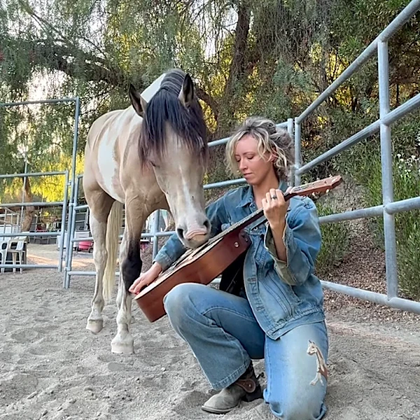 A horse learned how to play instruments. Now, his album's dropping