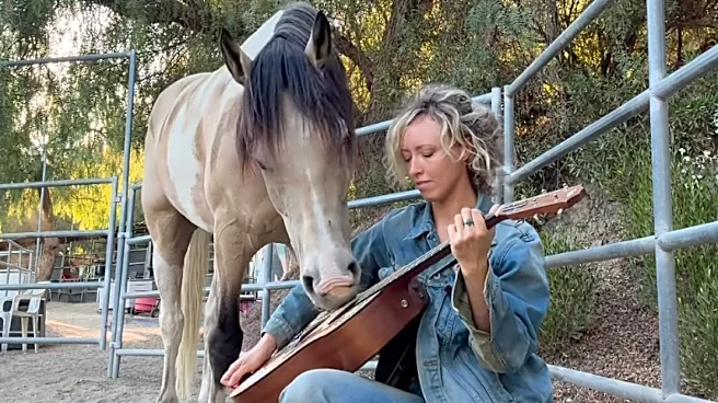 A horse learned how to play instruments. Now, his album's dropping