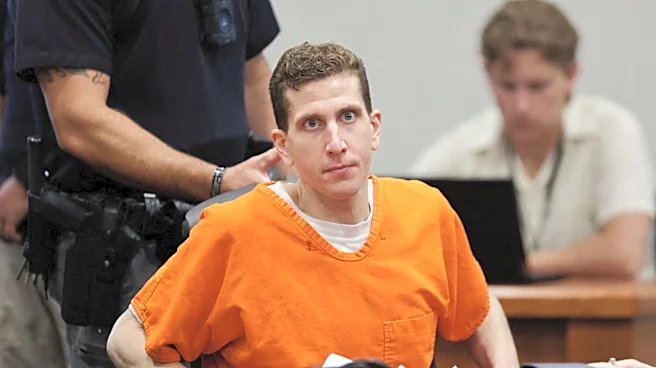 Bryan Kohberger gets new attorney in bid to withdraw guilty plea